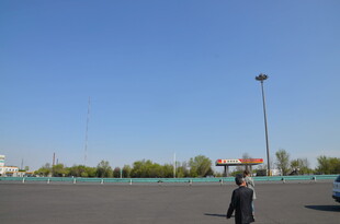 空旷场地与远处树木景观