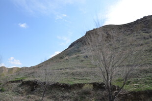 山景风光 枯树点缀其间