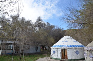 草原上的特色蒙古包景观