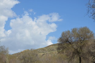 蓝天白云下的山野风光