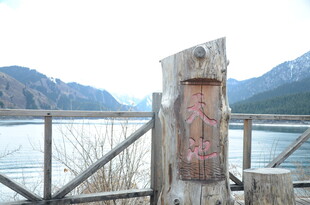 天池景区木桩标识景观