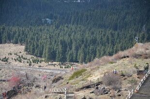 山间美景 林木与步道相映