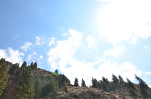 阳光照耀下的山林美景