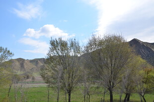 山野绿树蓝天风景图