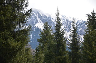 山林间的巍峨雪山