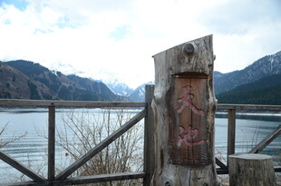 湖畔旧木桩 山水好风光