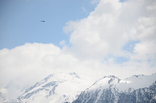 雪山蓝天飞鸟壮丽景致