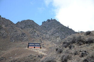 山间行驶的多彩巴士