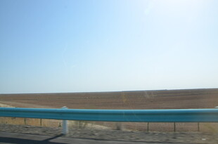 公路旁开阔的原野风光