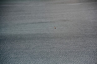 灰色纹理地毯特写