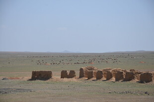 沙漠中的整齐草垛