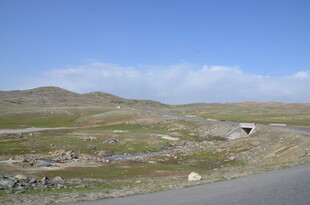 公路旁的开阔原野风光