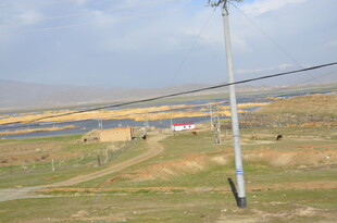 田野中的电线杆与开阔风景