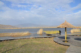 湖畔木栈道上的休闲景致