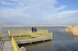 湖畔木栈道上的两人身影