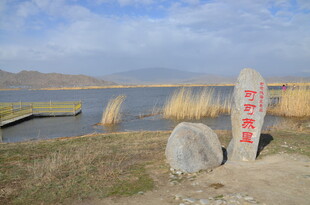可可苏里湿地石碑景观