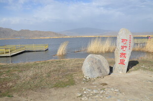 可可苏里景区石刻景观