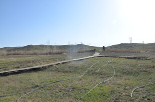 开阔田野中的一人独行