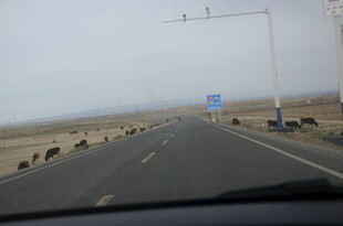 公路驰骋 前方视野开阔