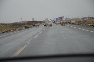 公路行车视角下的道路景象