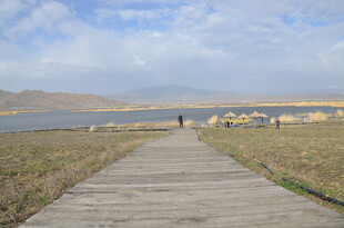 湖畔木栈道 自然风光美