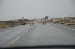 空旷公路上的骑行者