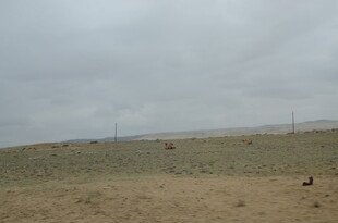 草原旷野中的孤寂景象