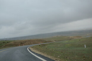 蜿蜒公路旁的开阔田野