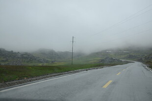 雾中公路 景色朦胧静谧