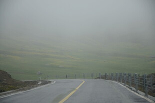 雾中公路 景色朦胧