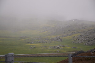 雾中朦胧的山间牧场