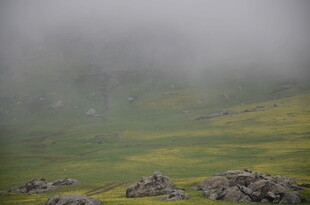 山间雾霭中的草地与石堆
