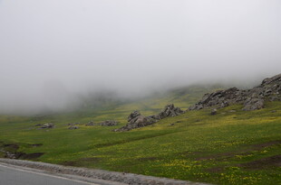 山间云雾缭绕的绿色景致