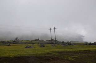 云雾笼罩的草原与电线杆