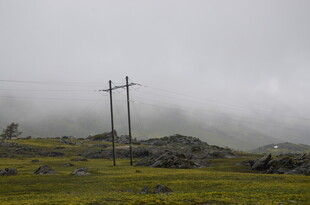 雾中电线杆屹立于草地