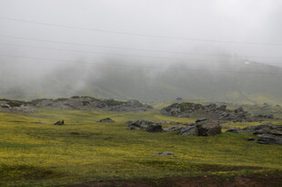 山间雾霭中的绿野风光