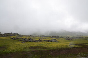 云雾缭绕的山间草原景色
