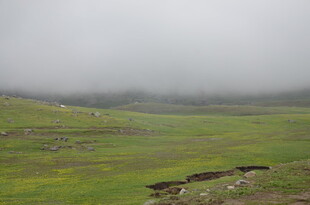 云雾笼罩的绿色草原风光