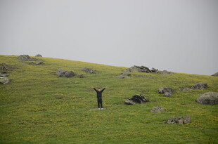 草原上的孤独身影