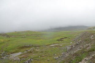 山间雾霭中的翠绿草地