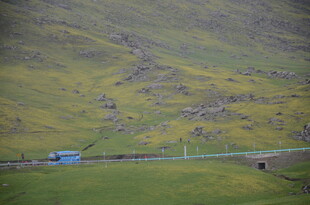 山间公路旁的绿色景致