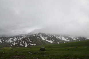 云雾缭绕的雪山草地