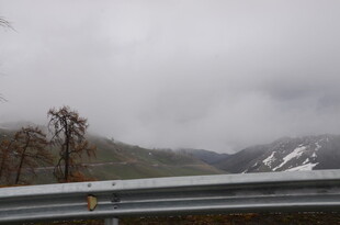 阴天公路旁的山林景色