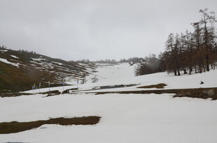 冬日雪景中的山林景观