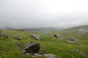 山间草地与岩石的景致