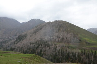 山峦葱郁的自然风光