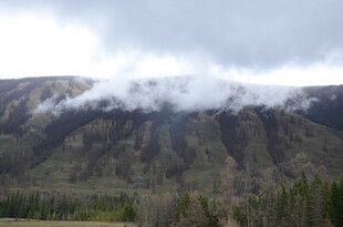 云雾缭绕的山峦风光
