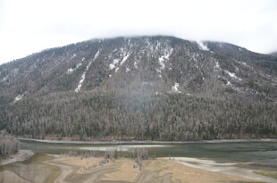 雪山下的开阔河谷风光