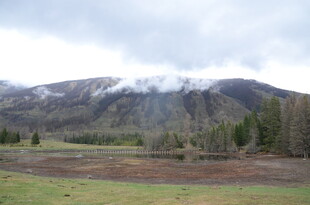 雪山下的开阔原野风光