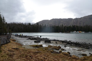 湖畔风景 静谧自然之美